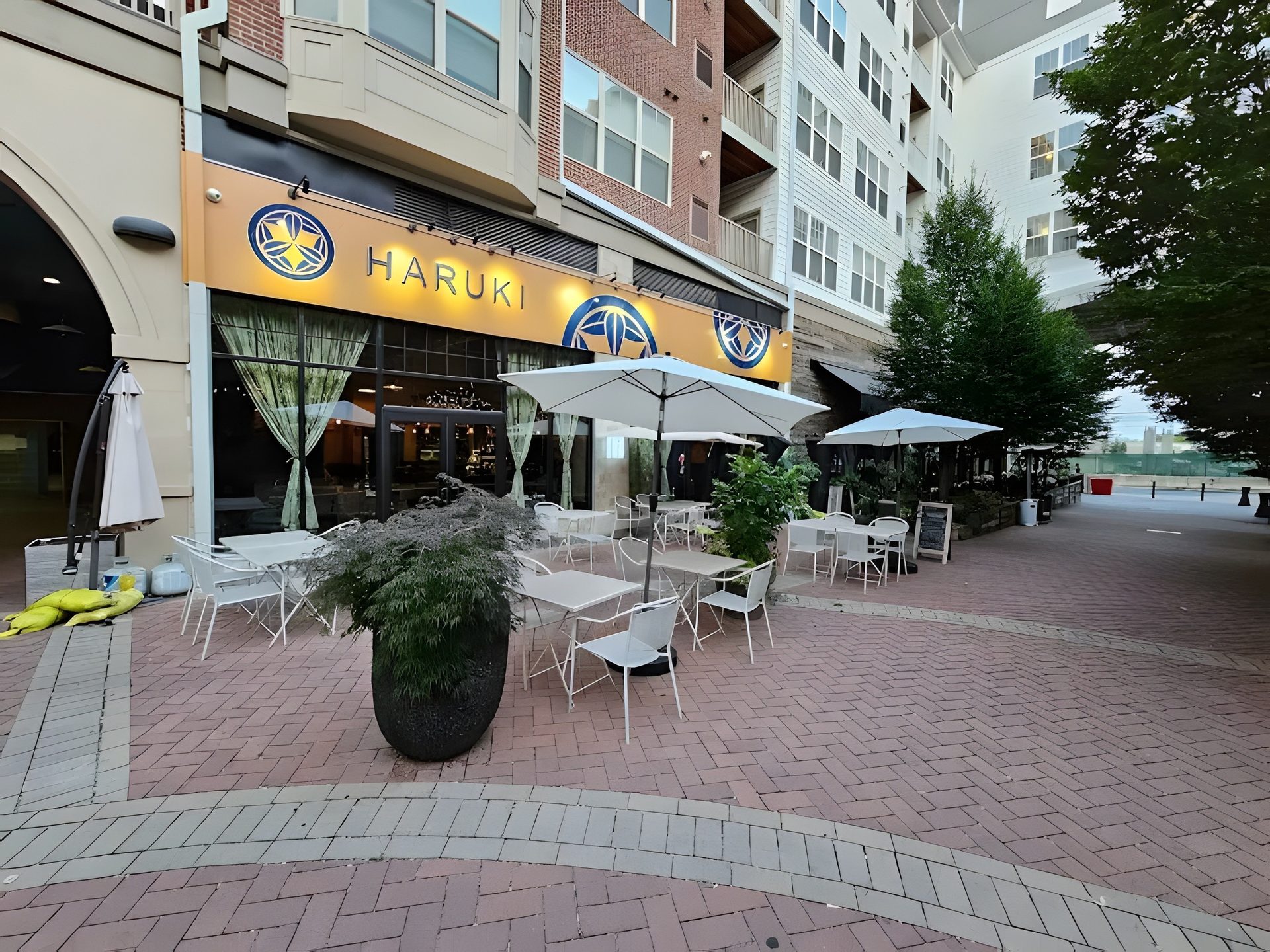 Welcome to Haruki Ramen & Izakaya